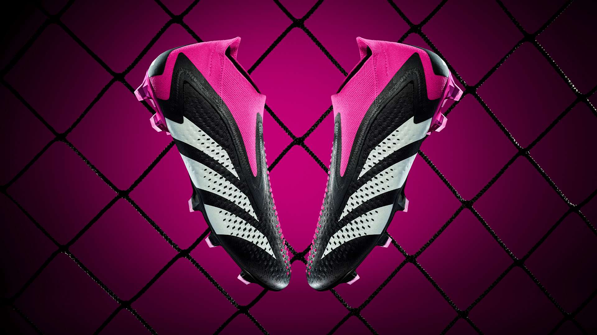 神完美结合 神完美结合